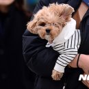 마리약국 이미지