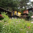 태기산아침의새소리 이미지