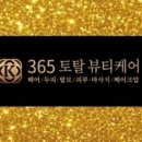 더 아르디 이미지