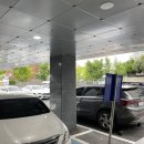 알파치과의원 이미지