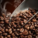 굿모닝24 이미지