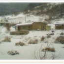 행복한날들 이미지