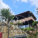 자몽트리 | 폭포소리 들으며 힐링하는 경산 대형카페 쏠by자이언트트리 솔직 후기