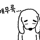 진국고기국수 - 청주시 흥덕구 2순환로1168번길 24 | 진국고기국수
