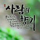 매실농장 Daum카페