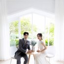 제주하다 이미지