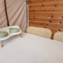 가평댕댕이애견펜션&글램핑골드 이미지