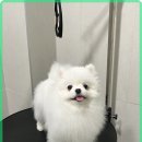 에르샵