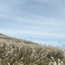 세븐일레븐 증산제일점 | 민둥산 뚜벅이이ㅣ 10월 민둥산 억새축제, 뚜벅이 등산후기