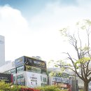 서면오늘플란트치과 이미지
