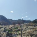 (주)더불어 이미지