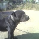 부광주유소 이미지