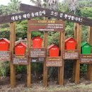 대륜동-2 이미지