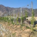 안동축산환경 이미지