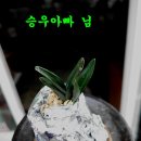 대박난원