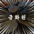 금화원 | 금화원 광안동 보쌈정식 추천 (인제 츄릅켠을 곁들인...)