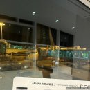 733 | 아시아나 OZ733편(인천→하노이) 탑승 후기｜에어버스 A350-900 이코노미석, 가족여행, 기내식...