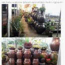 김학인농장 이미지