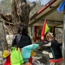 천궁식당 이미지