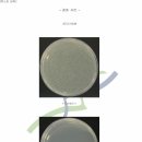 리온에너지 이미지