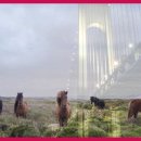 [1급과정] 문학심리상담사 1급 이미지