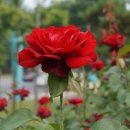 대구의료원 라파엘웰빙센터 이미지