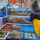 일번지약국 | [노들수산] 노량진 수산시장 킹크랩+회 내돈내산 후기(+시세)