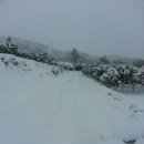 준2농장 이미지