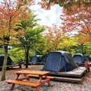 바둑교실 | 제천 하늘뜨레 서울캠핑장 예약 후기 가을캠핑도 아이와 함께 예약