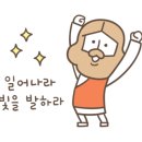 더세움 이미지