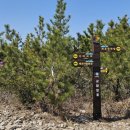 세포마을회관 이미지