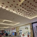 까르푸 | 아부다비 야스몰 까르푸 후기 | 두바이쵸콜릿, 납작복숭아