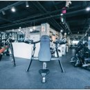 고구마 휘트니스 이미지