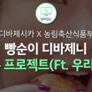 디바걸스