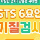 인싸이트 영유아 STS 6요인 기질검사 후기