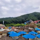 월드 연무관 합기도 네이버블로그