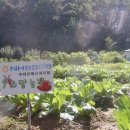 제경농장 이미지