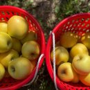 골드농장 이미지