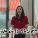 담비인테리어