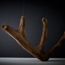 다섯가지 한의원 이미지