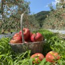 영금농장 이미지