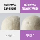 라이프메이트