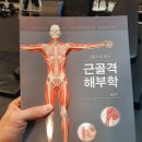 오리좋아 이미지