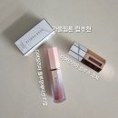 가을웜톤 립추천 디어달리아 립무스 코지와 블루밍 에디션 페탈터치 티클 써봄