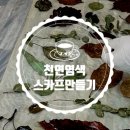 도롱골농원