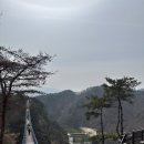 동백카부분정비 | 🌉 소금산 출렁다리 케이블카 + 미디어아트센터까지 아이와 함께 다녀온 후기