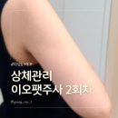 이오 | 이오팻주사 후기, 상체관리 다이어트 방법으로 받아본 2회차
