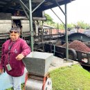 여정농장 | 그린웰팜 빅아일랜드 무료 커피농장 체험