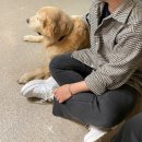 퍼피앤커피 | [신림] 퍼피앤커피 서울 애견카페 방문 후기🐶