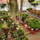 축협하나로마트안림점 이미지